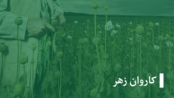 برنامه کاروان زهر 